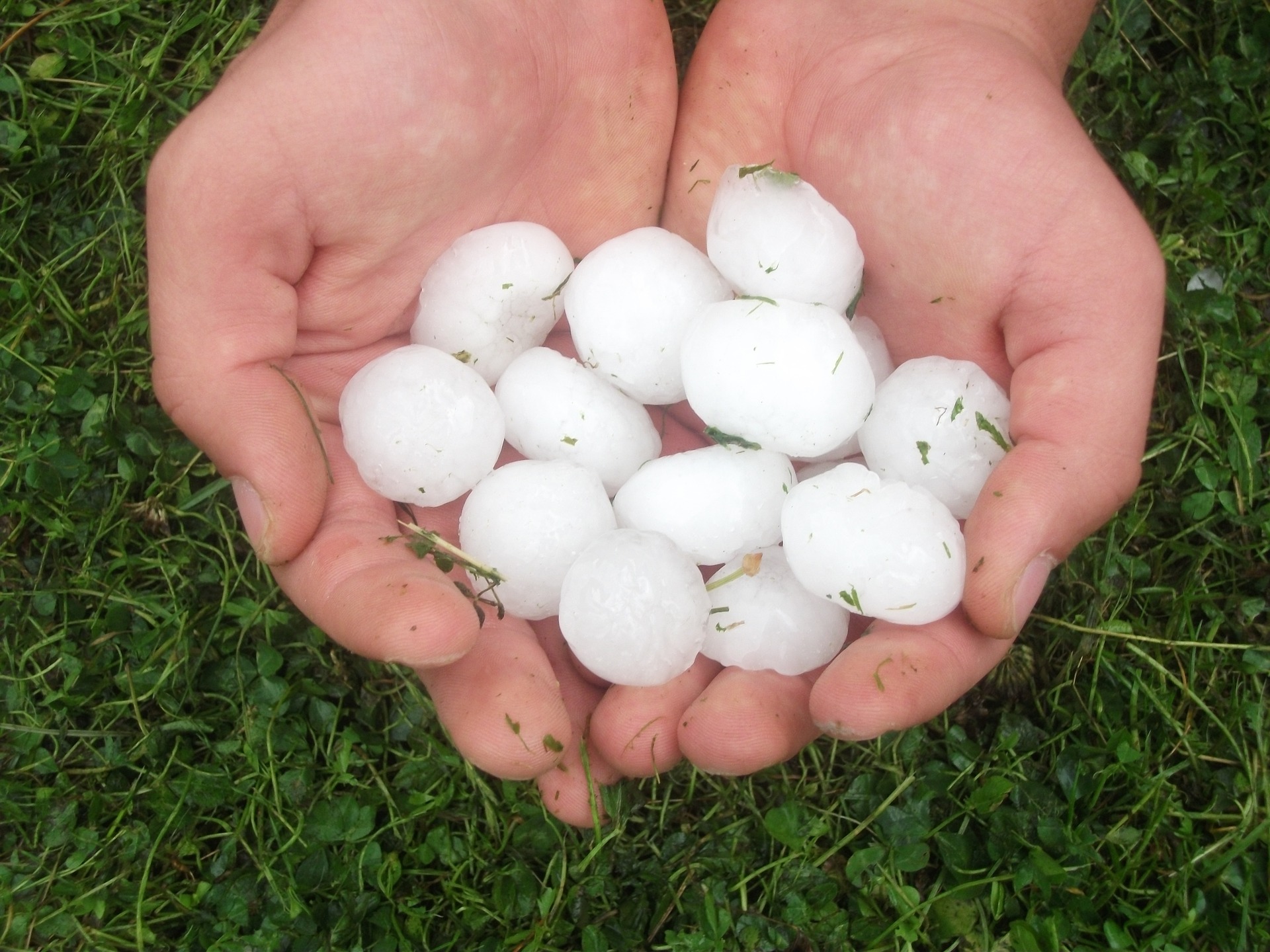 hail damage insurance claim